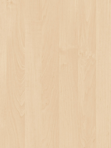Birch 1715BS