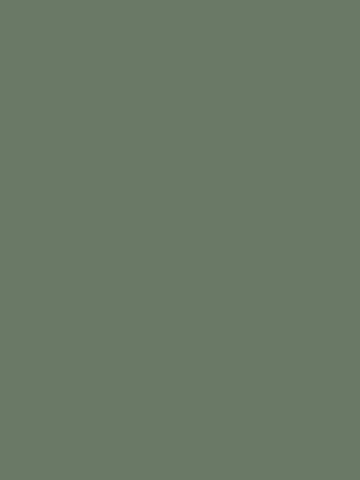 Smoke Green K521SU
